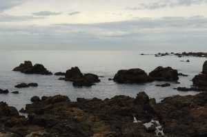 OWHIRO-BAY (2)